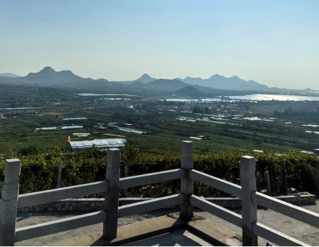 平度大澤山葡萄園引進(jìn)萊恩德土壤肥料檢測儀， 輕松掌握土壤營養(yǎng)